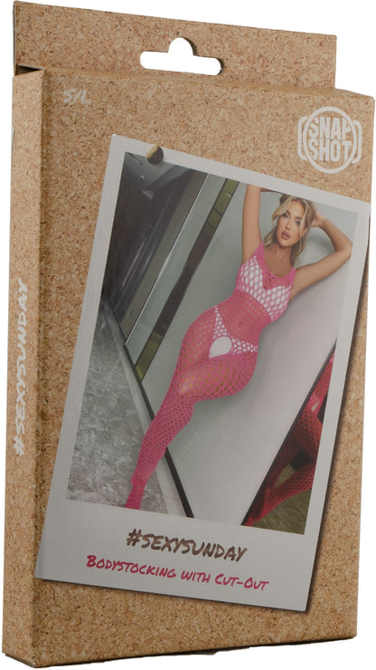 Visnet Bodystocking - Roze - Snapshot